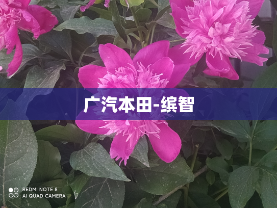广汽本田-缤智