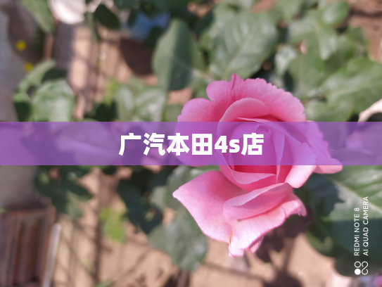 广汽本田4s店