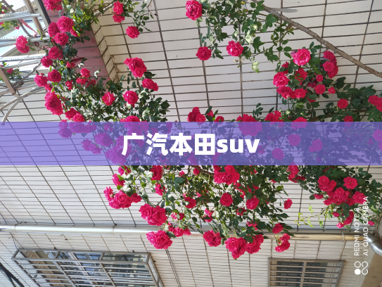 广汽本田suv
