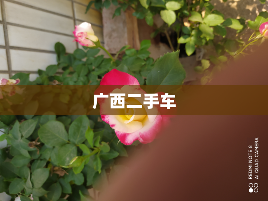 广西二手车