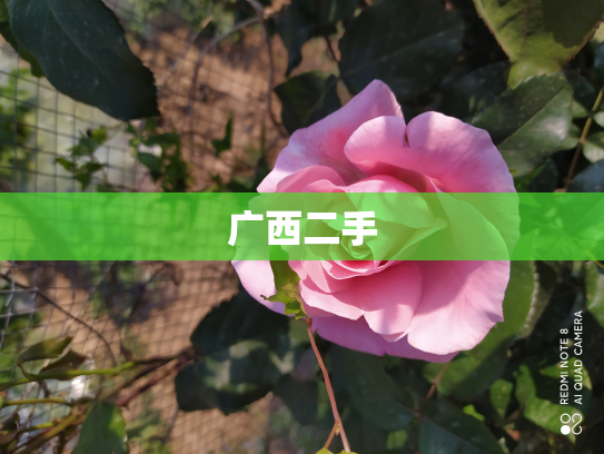 广西二手