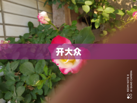 开大众