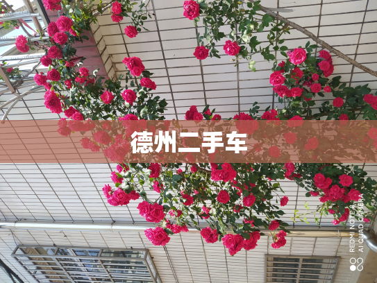德州二手车