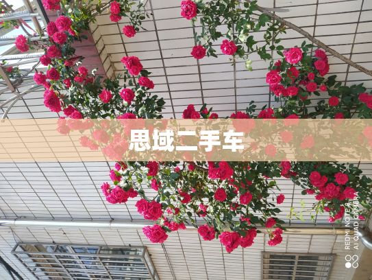 思域二手车