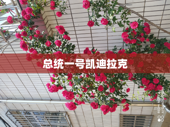 总统一号凯迪拉克