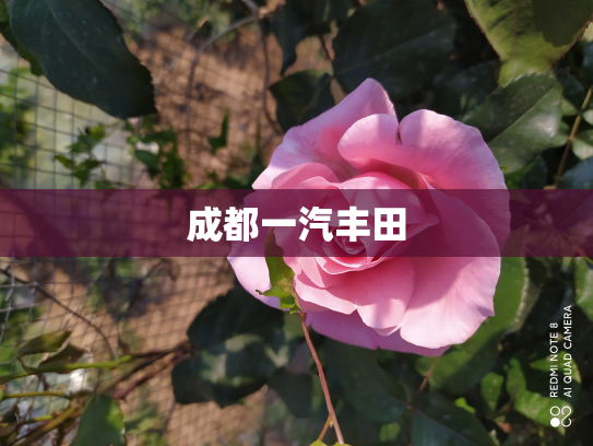 成都一汽丰田