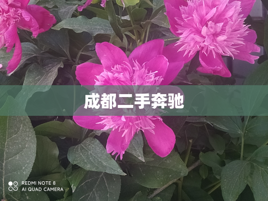 成都二手奔驰