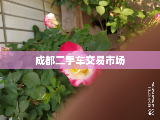 成都二手车交易市场