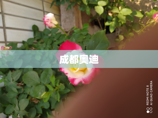 成都奥迪