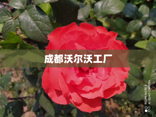 成都沃尔沃工厂