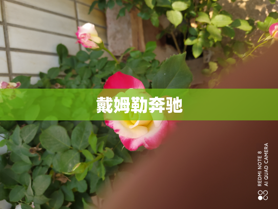 戴姆勒奔驰