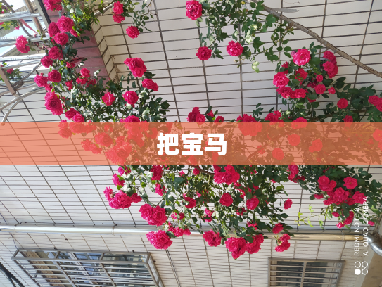 把宝马
