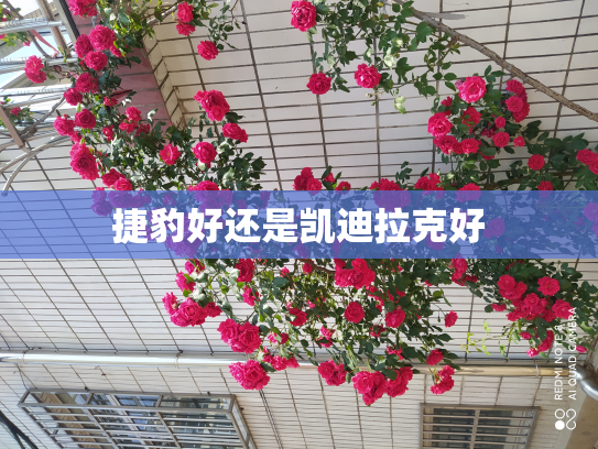 捷豹好还是凯迪拉克好