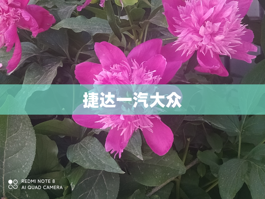 捷达一汽大众