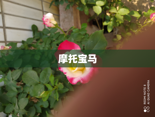 摩托宝马
