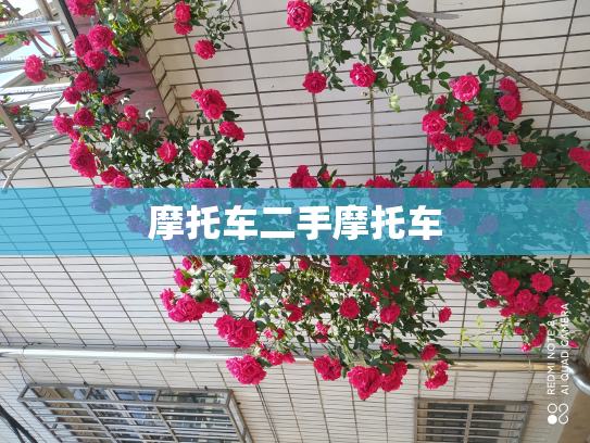 摩托车二手摩托车