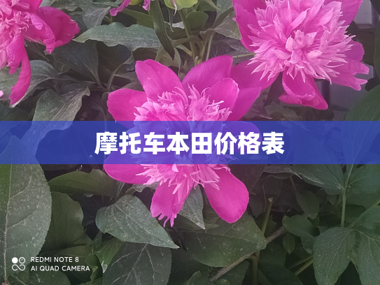 摩托车本田价格表