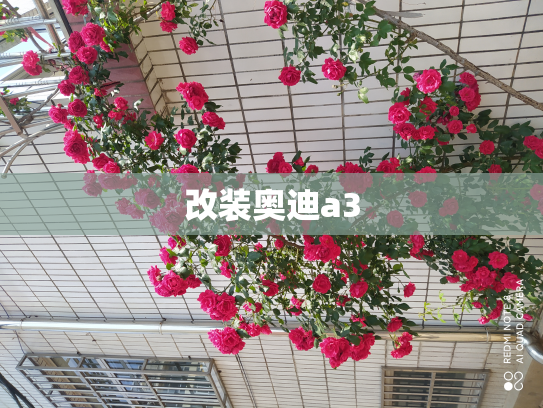 改装奥迪a3