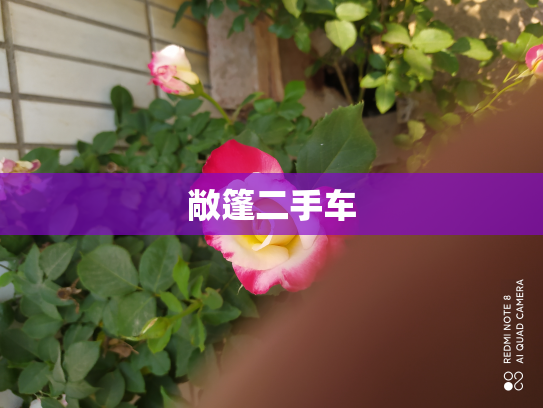 敞篷二手车