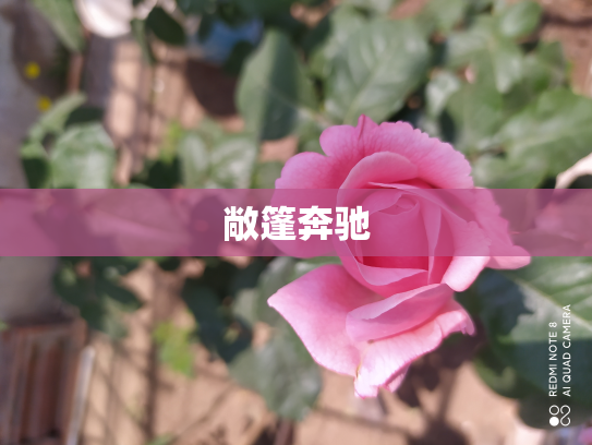 敞篷奔驰