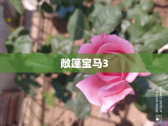 敞篷宝马3