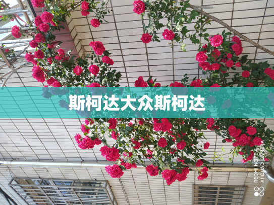 斯柯达大众斯柯达