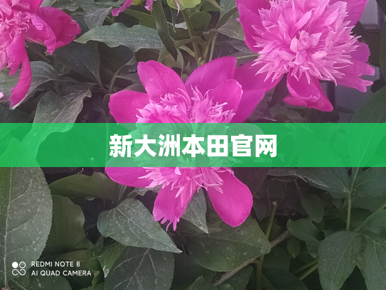 新大洲本田官网