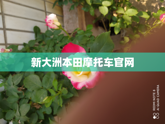 新大洲本田摩托车官网
