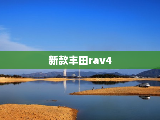新款丰田rav4