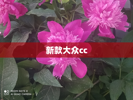 新款大众cc