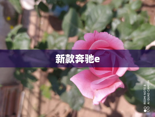 新款奔驰e
