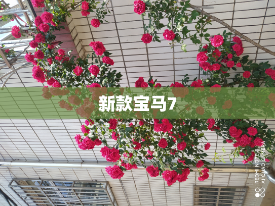 新款宝马7
