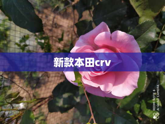 新款本田crv