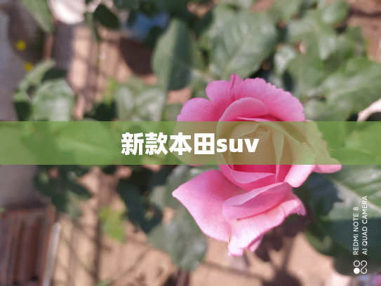 新款本田suv