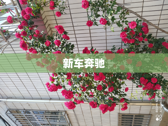 新车奔驰