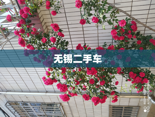无锡二手车