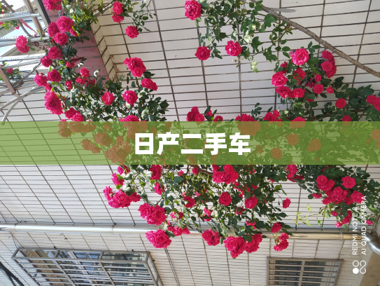日产二手车