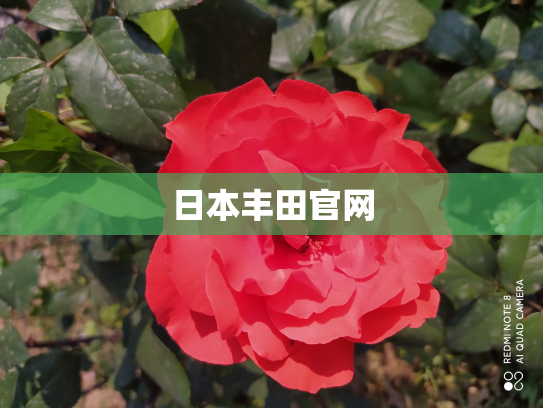 日本丰田官网