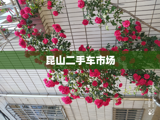 昆山二手车市场
