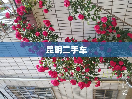 昆明二手车