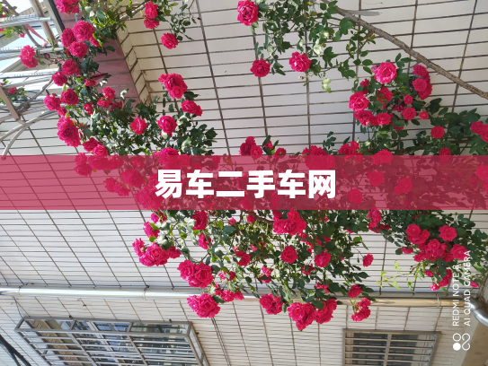 易车二手车网