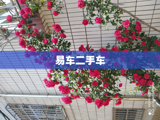 易车二手车