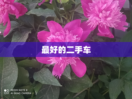 最好的二手车