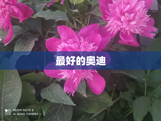 最好的奥迪