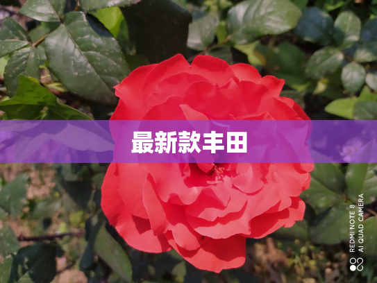 最新款丰田