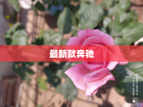 最新款奔驰