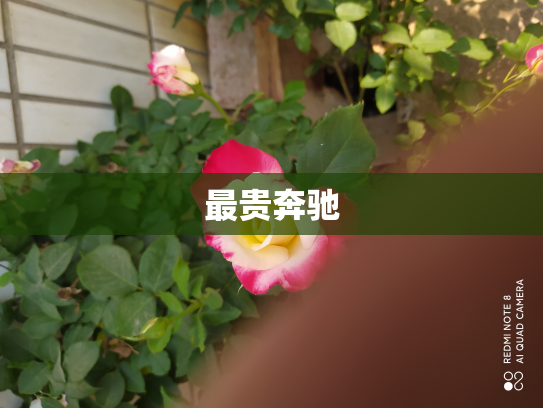 最贵奔驰