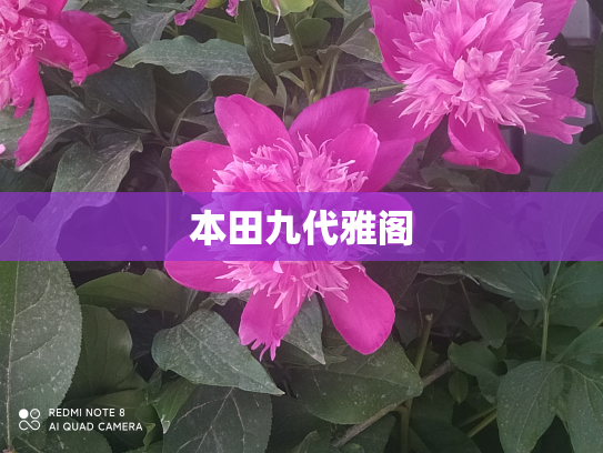 本田九代雅阁