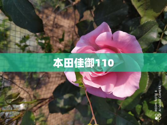 本田佳御110