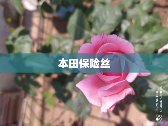 本田保险丝